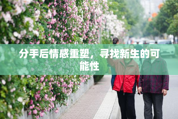 分手后情感重塑，寻找新生的可能性
