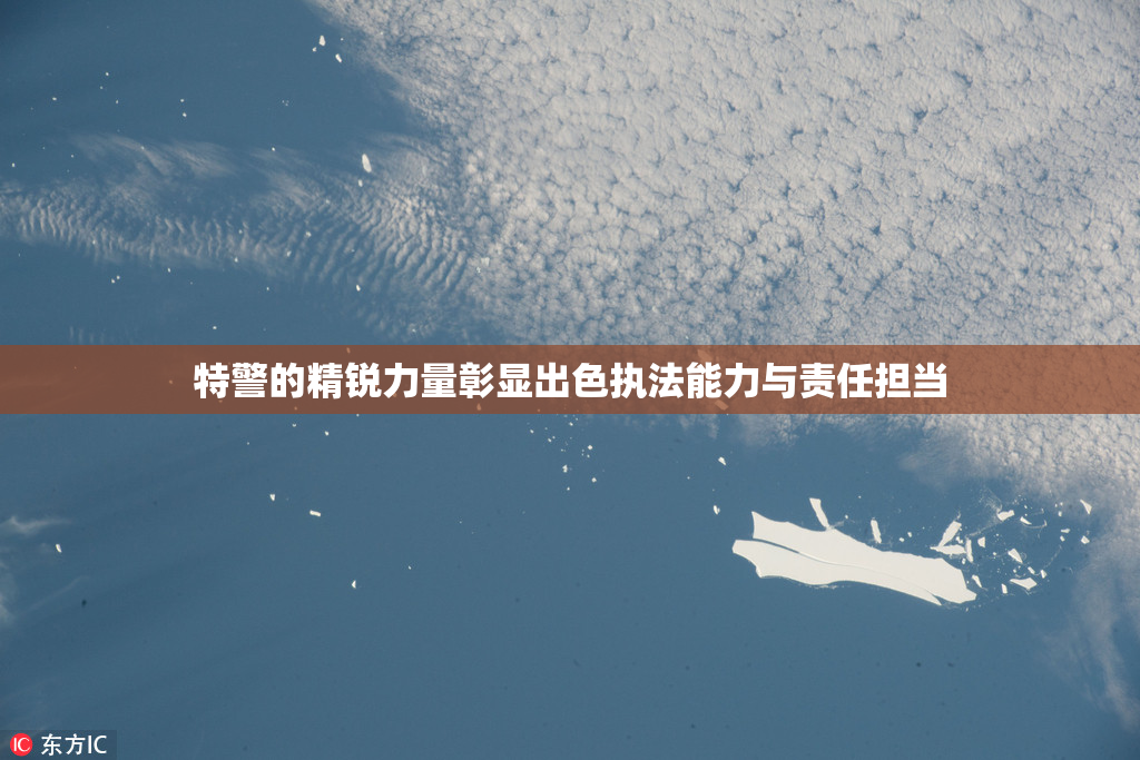 特警的精锐力量彰显出色执法能力与责任担当