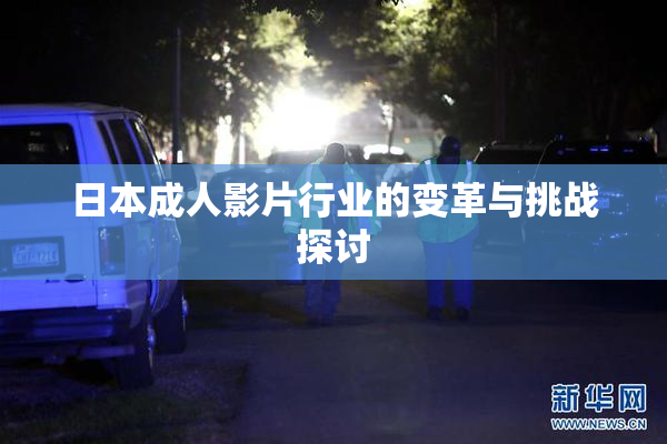 日本成人影片行业的变革与挑战探讨