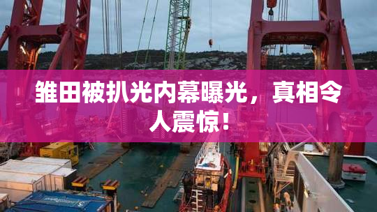 雏田被扒光内幕曝光，真相令人震惊！