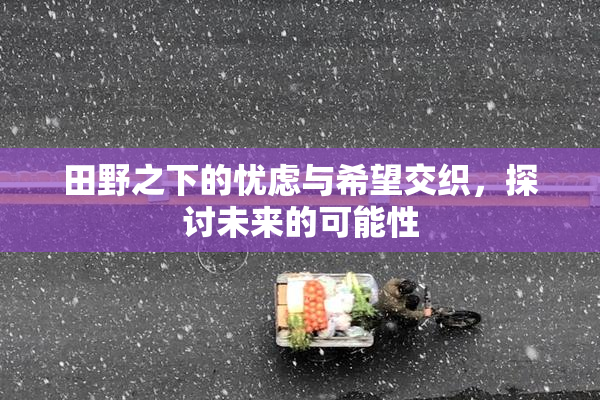 田野之下的忧虑与希望交织，探讨未来的可能性