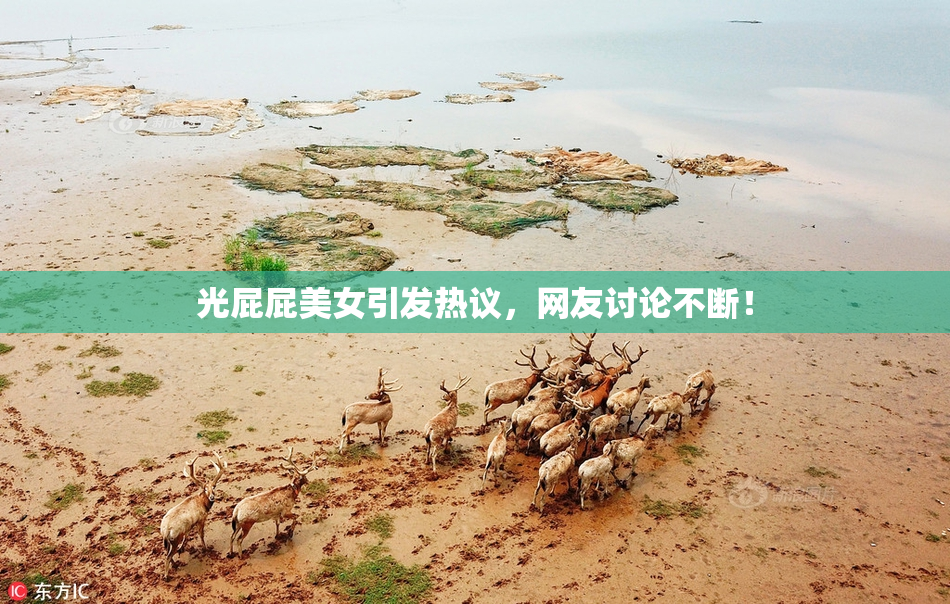 光屁屁美女引发热议，网友讨论不断！