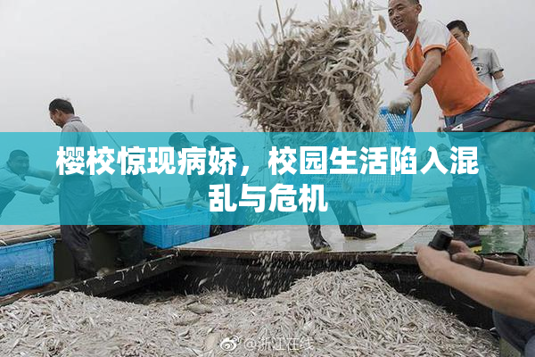 樱校惊现病娇，校园生活陷入混乱与危机