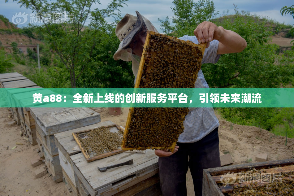 黄a88：全新上线的创新服务平台，引领未来潮流