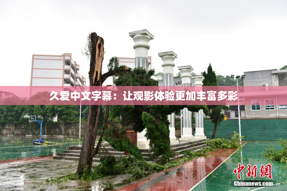 久爱中文字幕：让观影体验更加丰富多彩