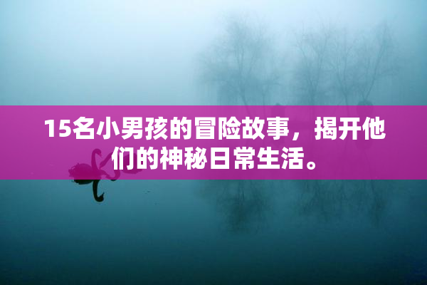 15名小男孩的冒险故事，揭开他们的神秘日常生活。