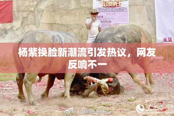 杨紫换脸新潮流引发热议，网友反响不一