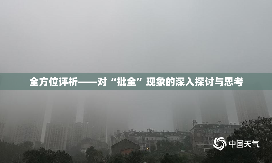 全方位评析——对“批全”现象的深入探讨与思考