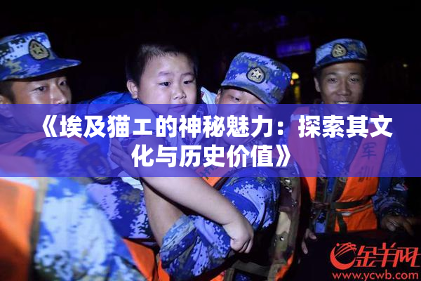 《埃及猫エ的神秘魅力：探索其文化与历史价值》