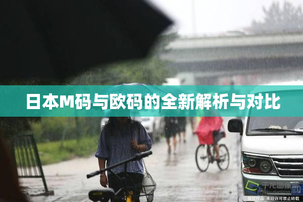 日本M码与欧码的全新解析与对比