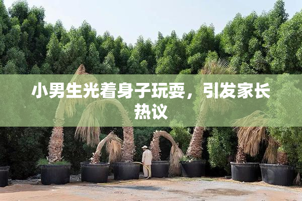 小男生光着身子玩耍，引发家长热议