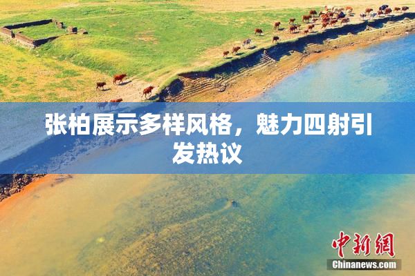 张柏展示多样风格，魅力四射引发热议