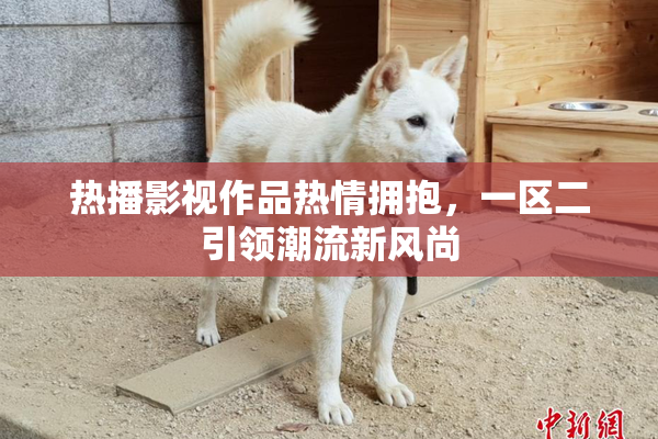 热播影视作品热情拥抱，一区二引领潮流新风尚