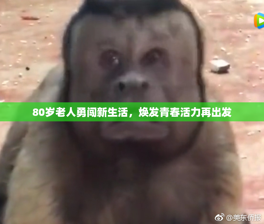 80岁老人勇闯新生活，焕发青春活力再出发
