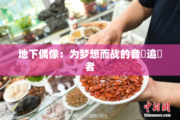 地下偶像：为梦想而战的音樂追隨者