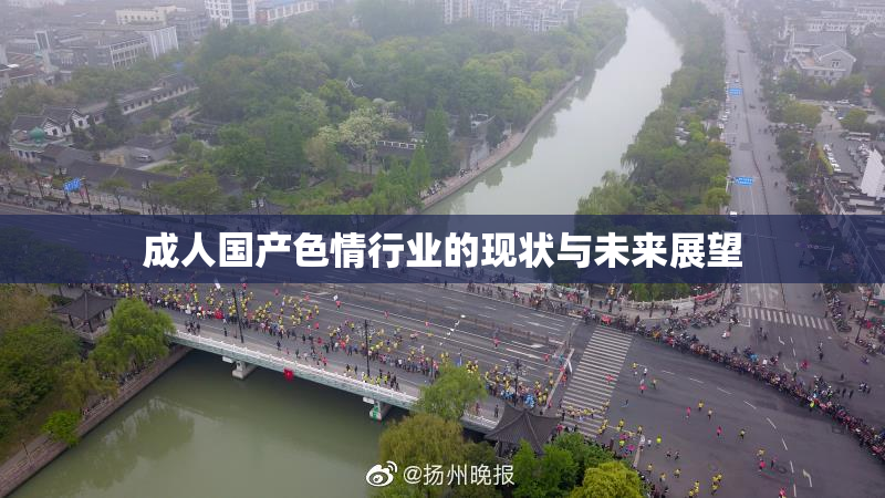 成人国产色情行业的现状与未来展望