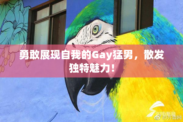 勇敢展现自我的Gay猛男，散发独特魅力！