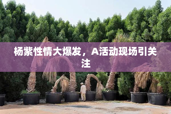 杨紫性情大爆发，A活动现场引关注