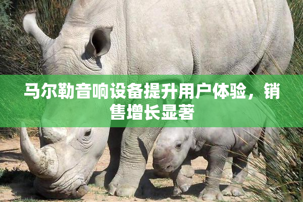 马尔勒音响设备提升用户体验，销售增长显著