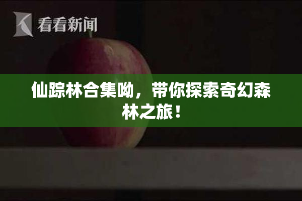 仙踪林合集呦，带你探索奇幻森林之旅！
