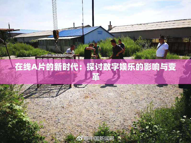 在线A片的新时代：探讨数字娱乐的影响与变革