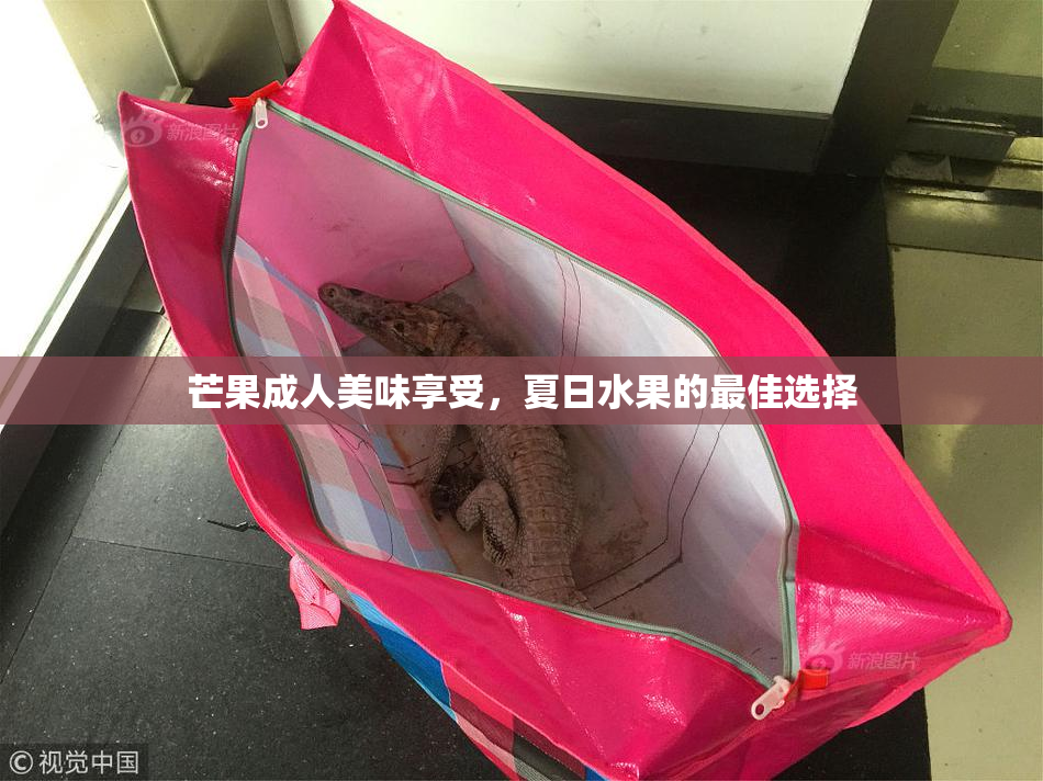 芒果成人美味享受，夏日水果的最佳选择