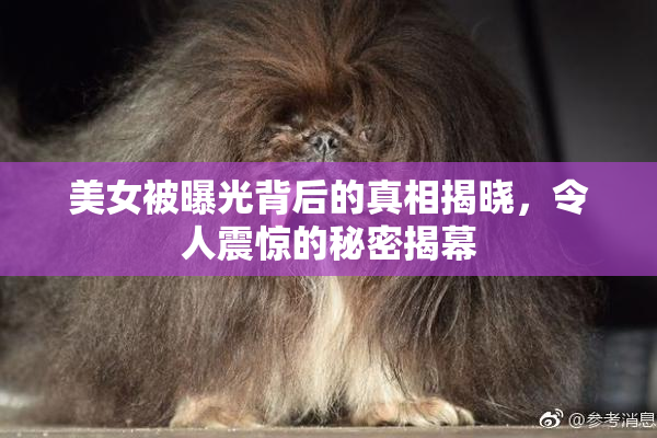 美女被曝光背后的真相揭晓，令人震惊的秘密揭幕