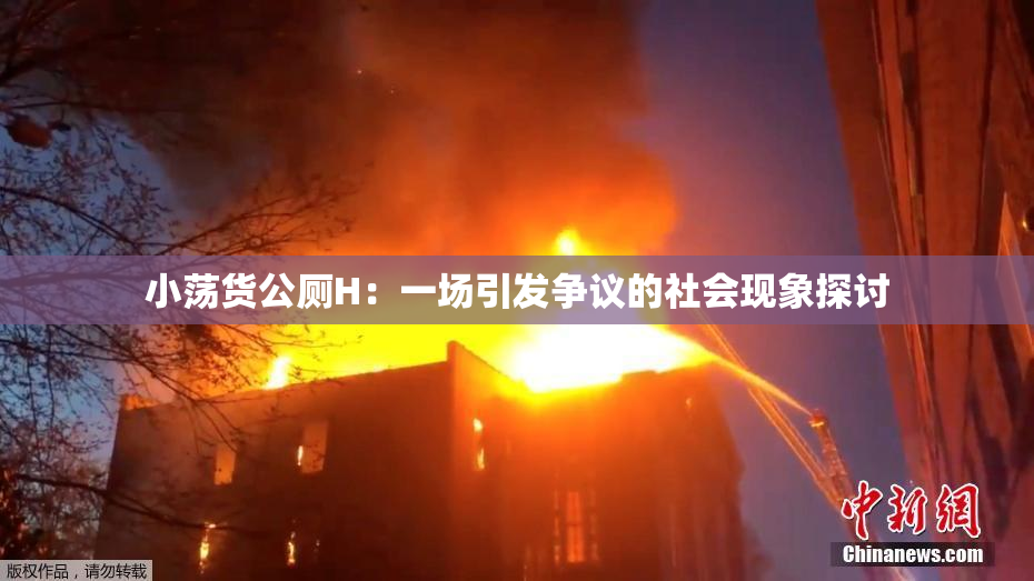 小荡货公厕H：一场引发争议的社会现象探讨