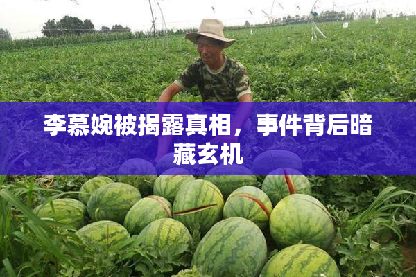 李慕婉被揭露真相，事件背后暗藏玄机