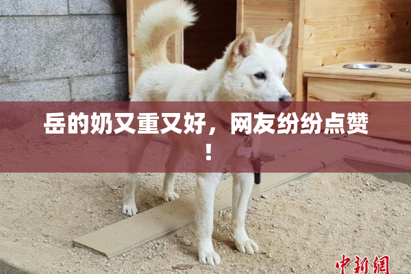 岳的奶又重又好，网友纷纷点赞！