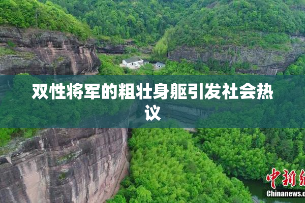 双性将军的粗壮身躯引发社会热议