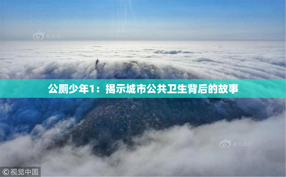 公厕少年1：揭示城市公共卫生背后的故事