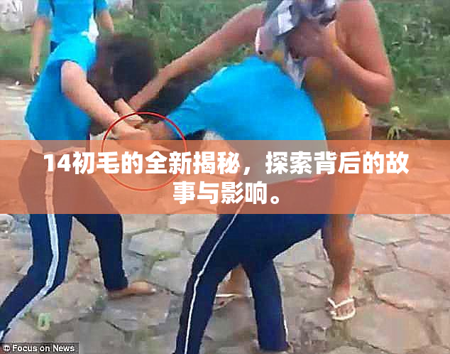 14初毛的全新揭秘，探索背后的故事与影响。
