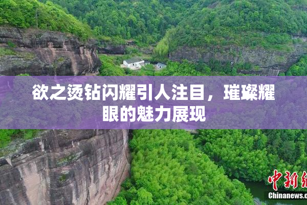 欲之烫钻闪耀引人注目，璀璨耀眼的魅力展现