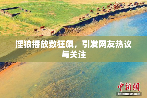 淫狼播放数狂飙，引发网友热议与关注
