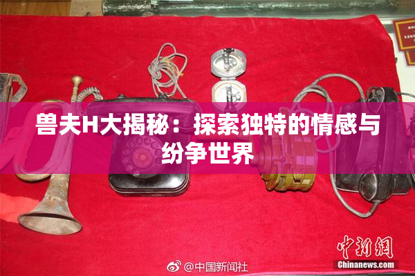 兽夫H大揭秘：探索独特的情感与纷争世界