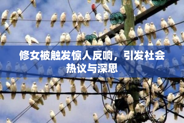 修女被触发惊人反响，引发社会热议与深思