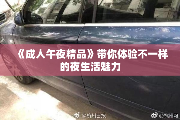 《成人午夜精品》带你体验不一样的夜生活魅力