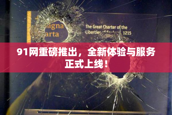 91网重磅推出，全新体验与服务正式上线！