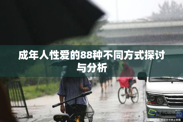 成年人性爱的88种不同方式探讨与分析