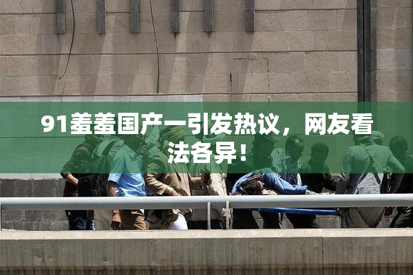 91羞羞国产一引发热议，网友看法各异！