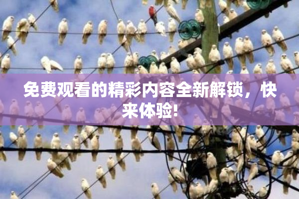 免费观看的精彩内容全新解锁，快来体验!
