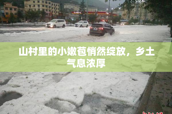 山村里的小嫩苞悄然绽放，乡土气息浓厚
