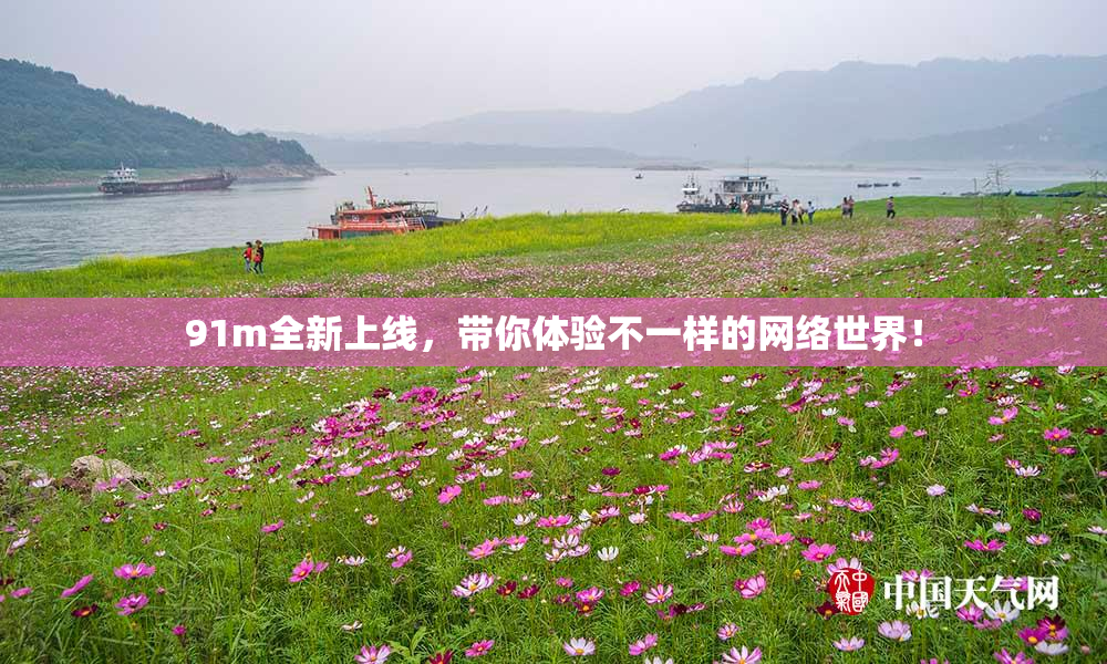 91m全新上线，带你体验不一样的网络世界！