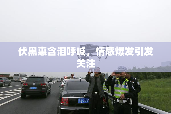伏黑惠含泪呼喊，情感爆发引发关注