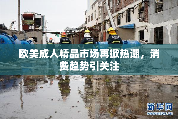 欧美成人精品市场再掀热潮，消费趋势引关注