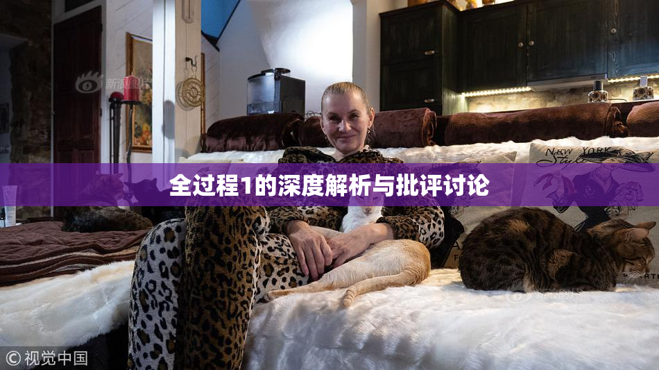 全过程1的深度解析与批评讨论