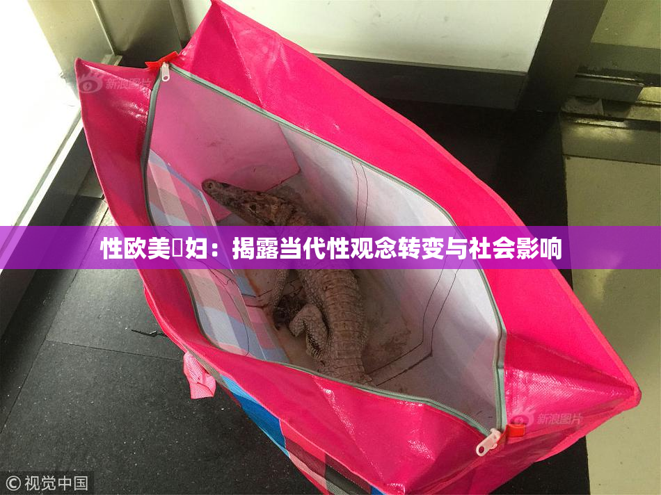 性欧美婬妇：揭露当代性观念转变与社会影响