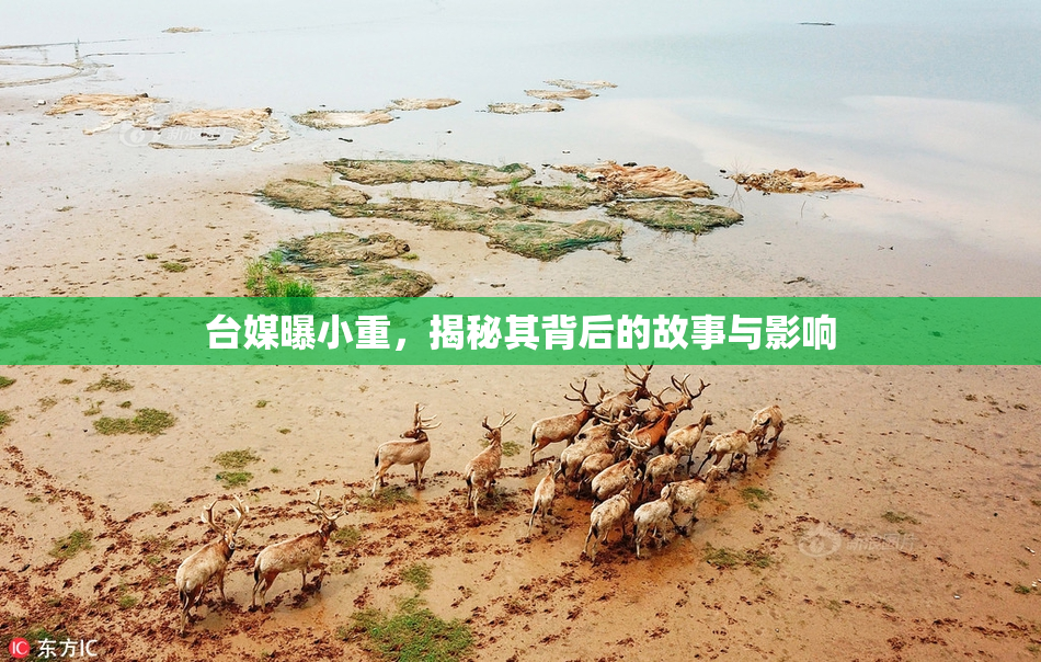 台媒曝小重，揭秘其背后的故事与影响