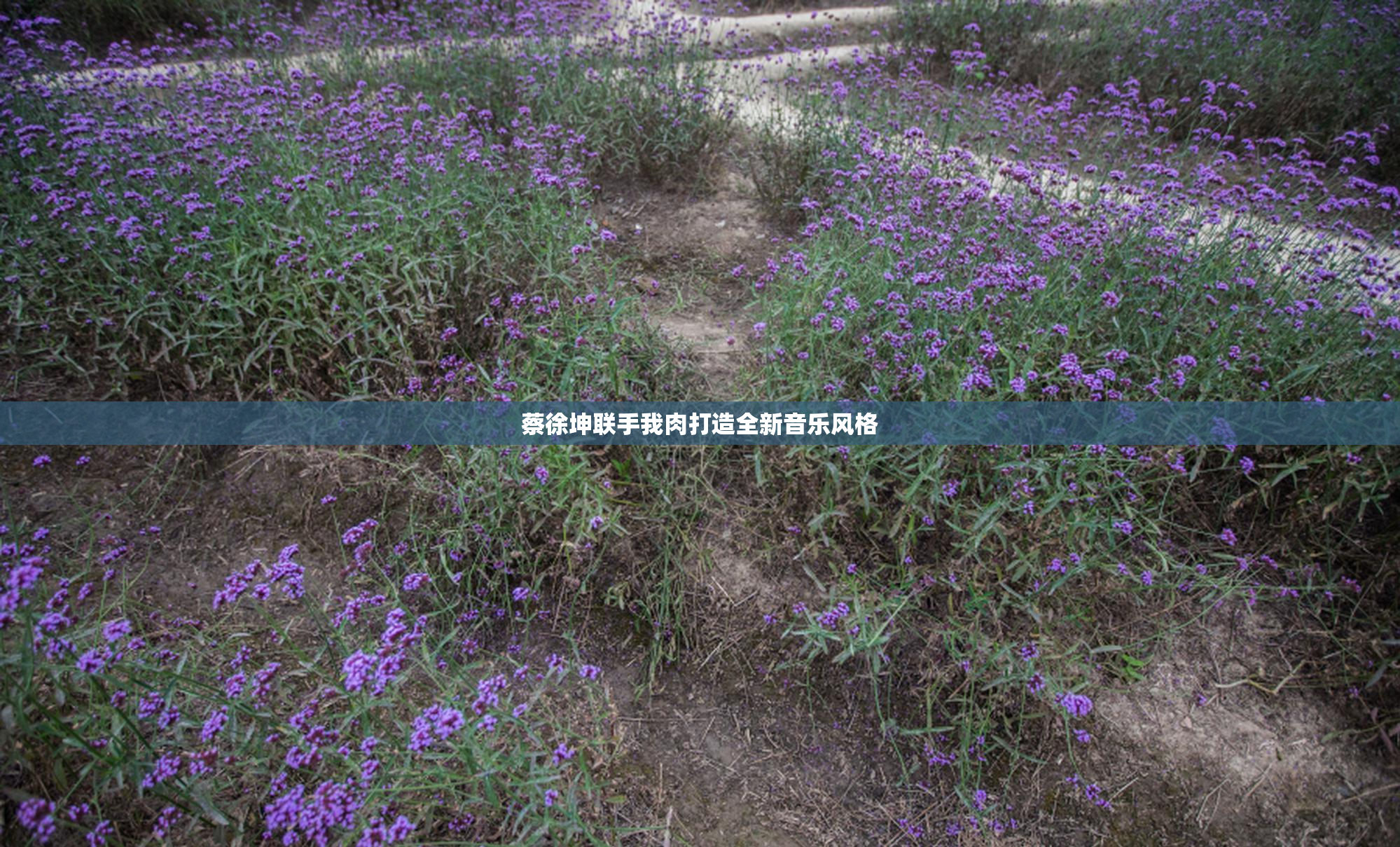 蔡徐坤联手我肉打造全新音乐风格